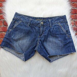 American Eagle Outfitters Women's Cut-off Denim Shorts Distressed Raw Hem Size 4